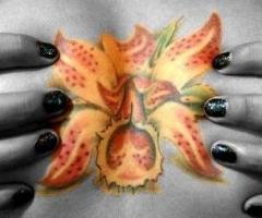 Orchid