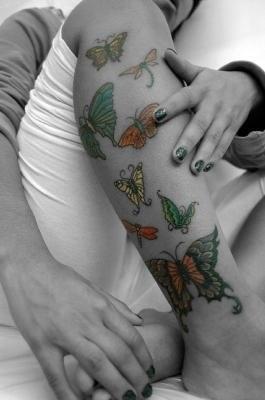 Butterflies 