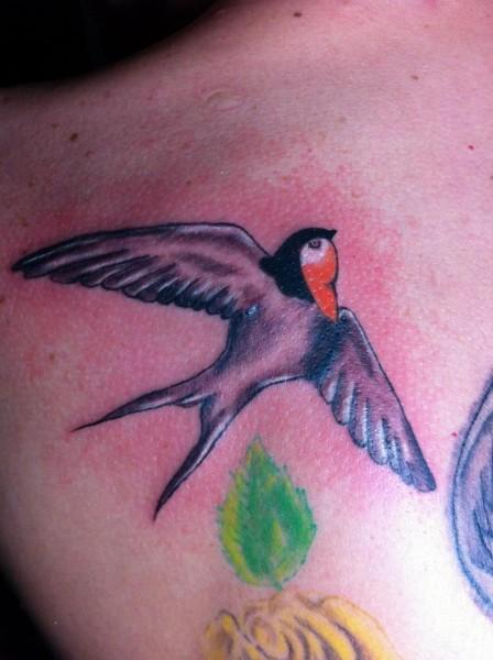 bird 1