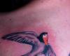 http://www.tattooset.com/images/tattoo/2013/04/22/18106-bird-1_tiny.jpg
