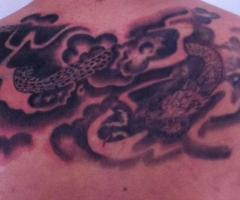 cover yin yang