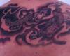 http://www.tattooset.com/images/tattoo/2013/04/22/18114-cover-yin-yang_tiny.jpg