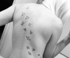 Birds across my back