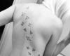 Birds across my back