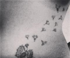 Dandelion R hip