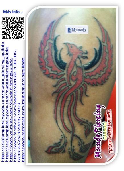 Ave Fenix
