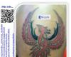 Ave Fenix
