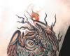 Owl tattoo