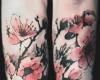 Arms of roses