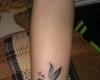 http://www.tattooset.com/images/tattoo/2013/04/28/18181-tatuaje-brasov-butterfly_tiny.jpg