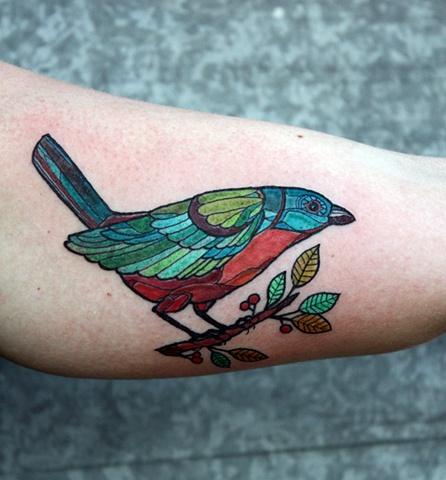 colorful bird