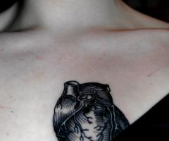 Heart black lines