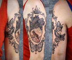 Heart fly butterfly and birds