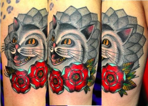 Cat beauty rose