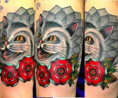 Cat beauty rose