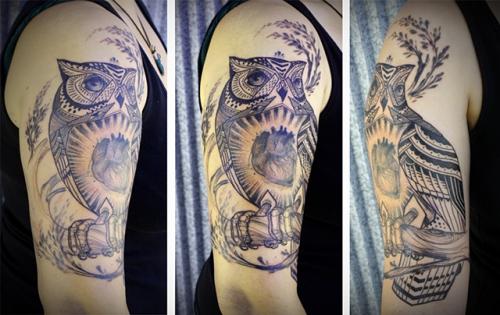 Owl old