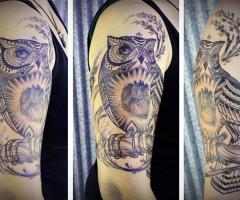 Owl old