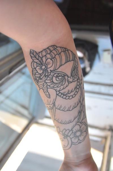 Mrs. owl