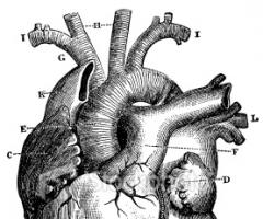 My heart
