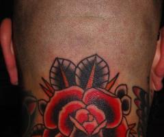 Rose traditional