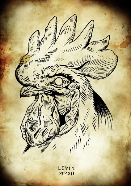Sketch