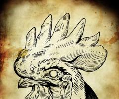 Sketch
