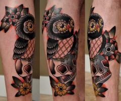 owl and skull