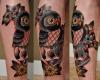 owl and skull