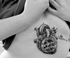 heart ribs