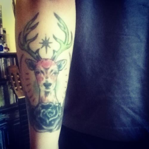dear deer