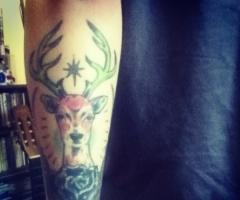 dear deer