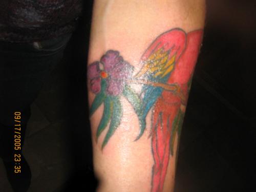 Parrot tattoo