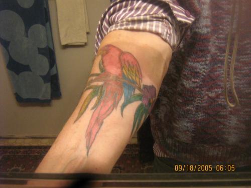 Tropical parrot tattoos