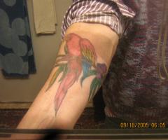 Tropical parrot tattoos