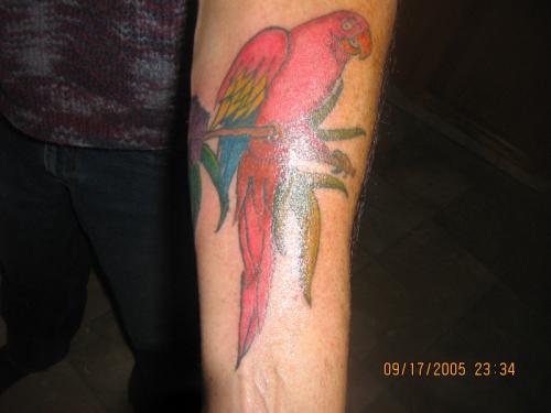 tropical tattoo