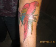 tropical tattoo