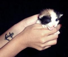 MY BABY