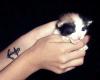 http://www.tattooset.com/images/tattoo/2013/05/15/18372-my-baby_tiny.jpg