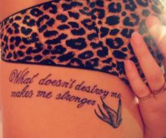 quote andorinha