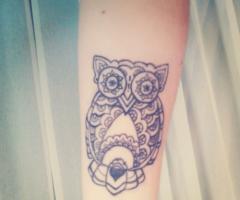 Owl black lines