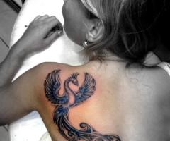 Phoenix tattoos for men and women