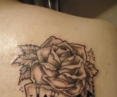 Flower rose and letters