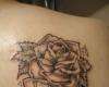 Flower rose and letters