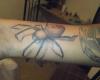 Araña tatuaje