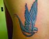 Golondrina