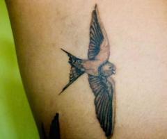 Golondrina by Balink Tattoo México