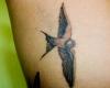 Golondrina by Balink Tattoo México