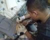 Tatuando (family)