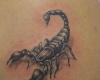 Scorpion Tattoo for men