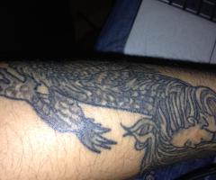 More of the dragon 